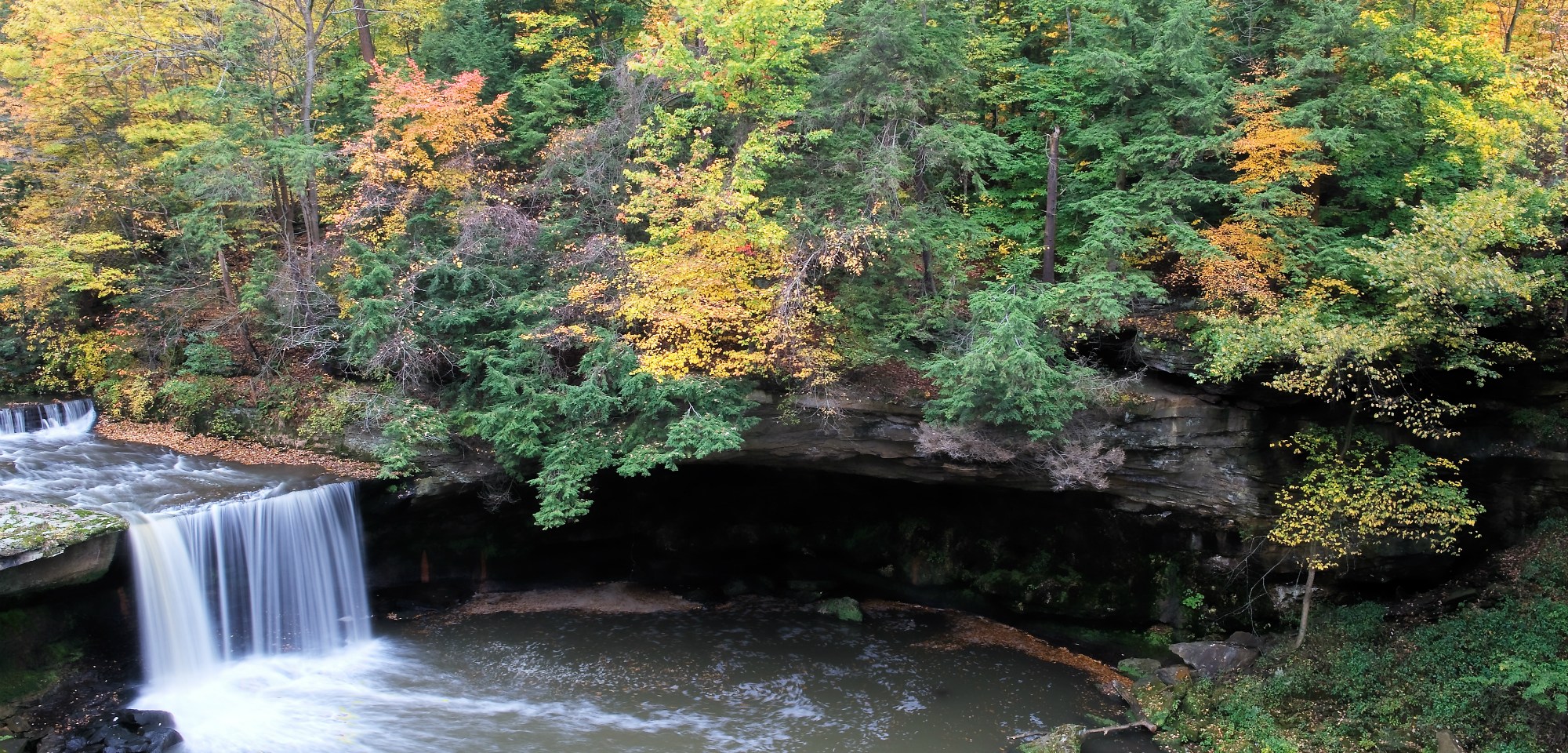 Oral Surgeon Austintown & Boardman, OH Mill Creek Oral & Maxillofacial Surgery Associates